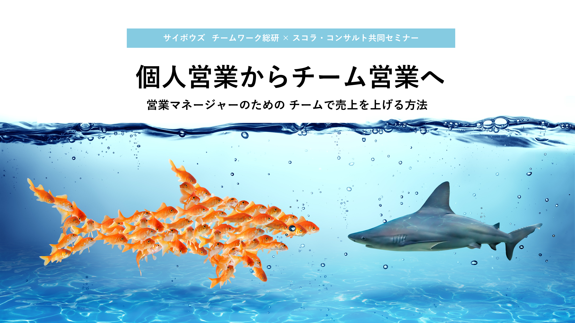 20190523トップ画像案.png